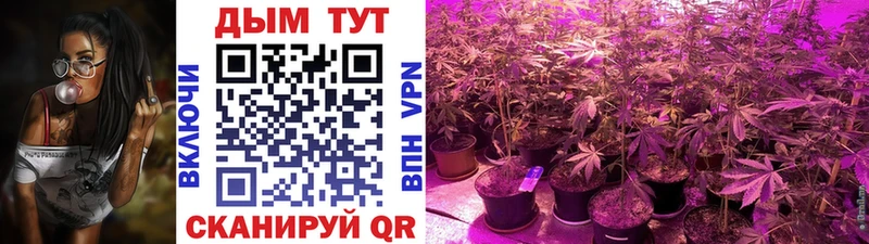 Какие есть наркотики Нея Гашиш  СК  Меф мяу мяу 