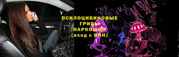 ГАЛЛЮЦИНОГЕННЫЕ ГРИБЫ Гусиноозёрск