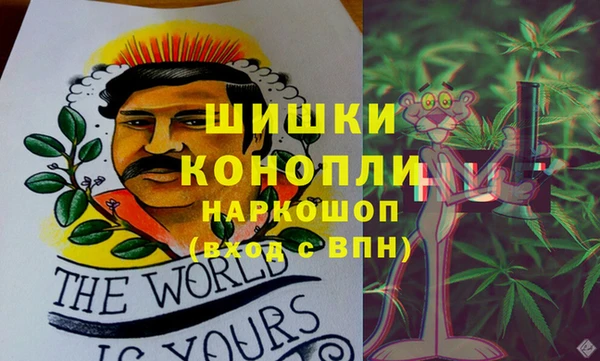 шишки Горняк