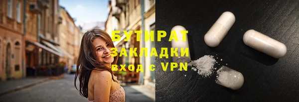 шишки Горняк