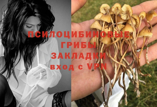 дмт Гусь-Хрустальный