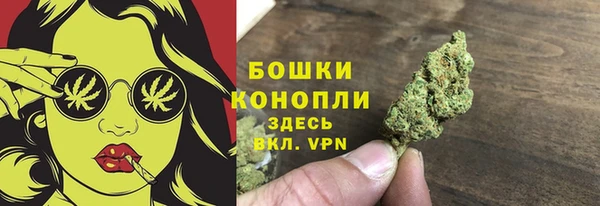 шишки Горняк